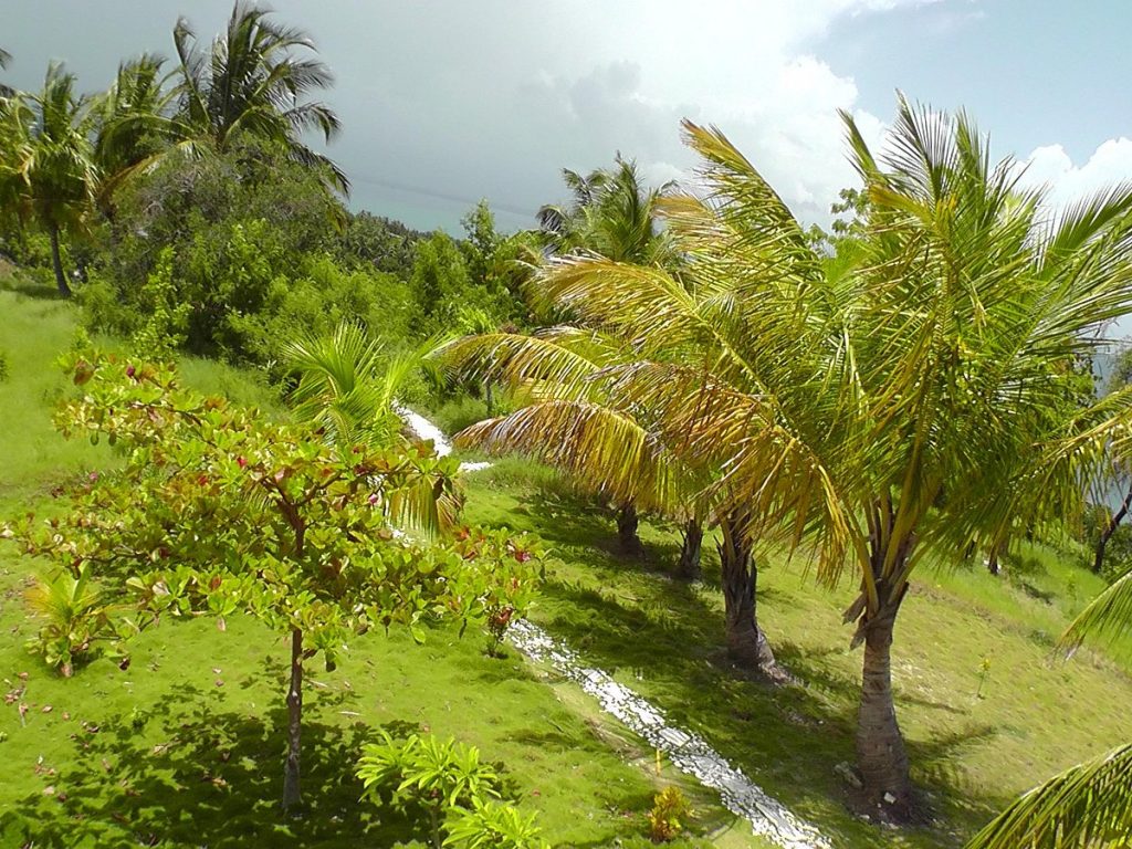 Suites la Colline - Một khách sạn boutique nổi bật tại Port-au-Prince