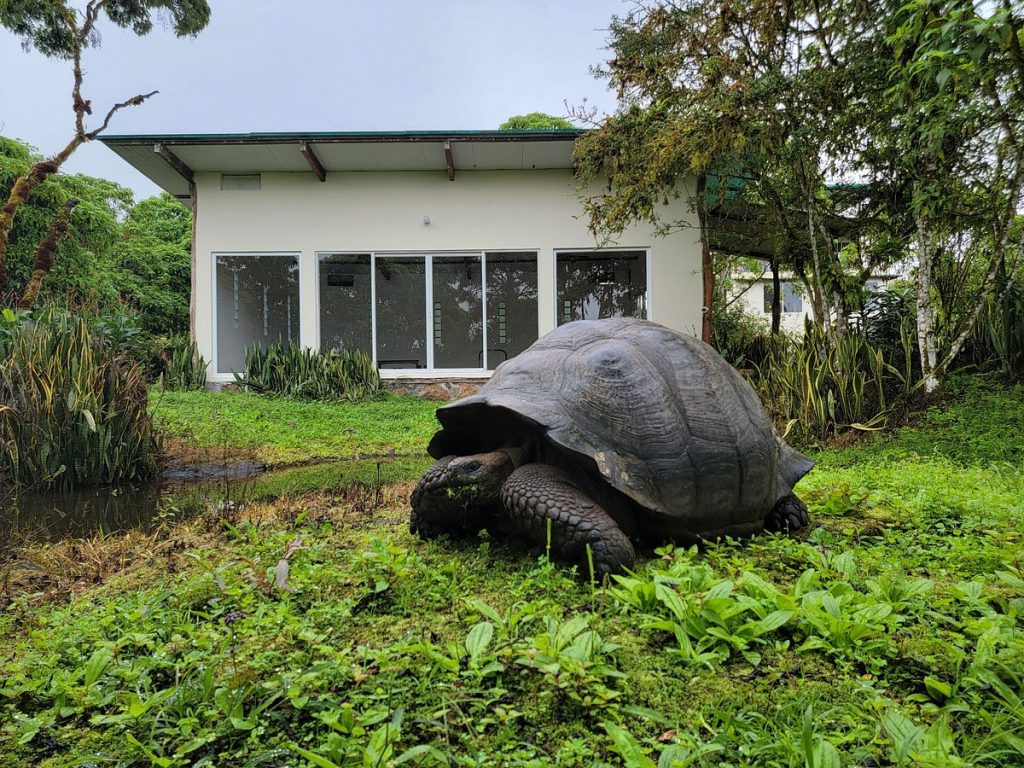 Semilla Verde Boutique Hotel