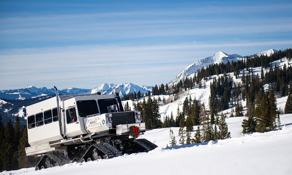 Eleven Scarp Ridge Lodge