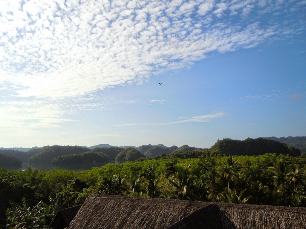 Palau Plantation Resort - Một nơi ẩn náu ở Nam Thái Bình Dương cung cấp cho du khách nhiều lựa chọn các cabin