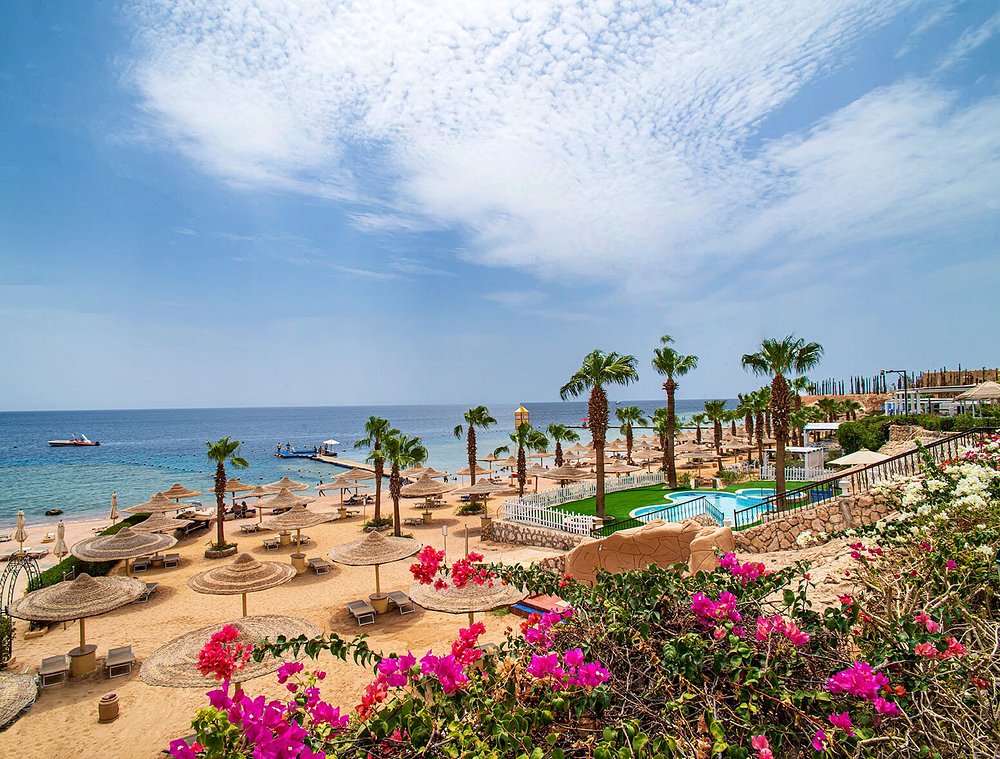 thiết kế khách sạn Savoy Sharm El Sheikh - khu vực sảnh
