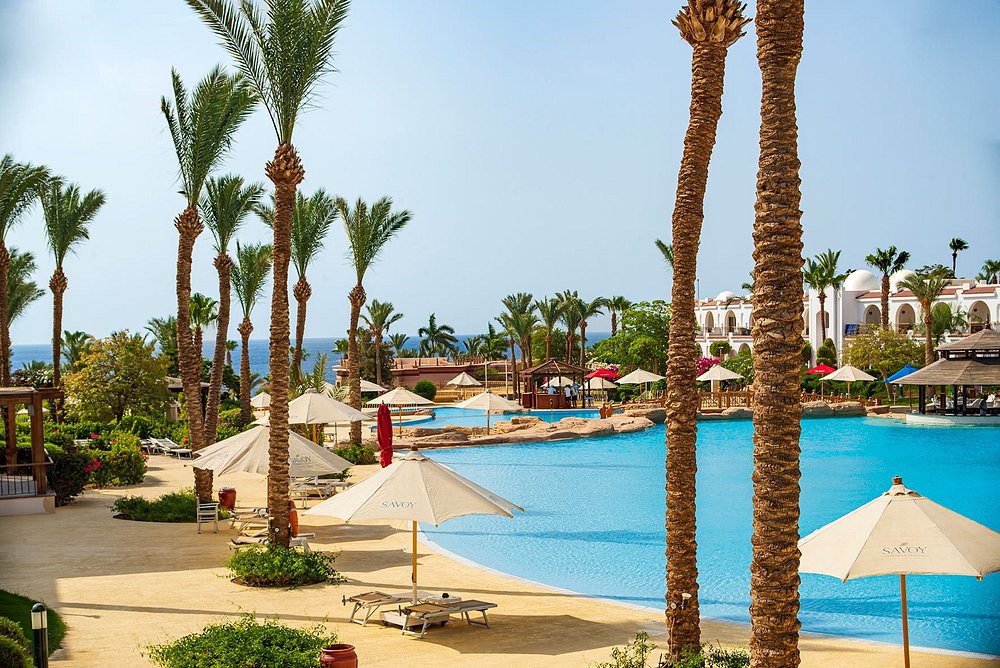 thiết kế khách sạn Savoy Sharm El Sheikh - khu vực sảnh