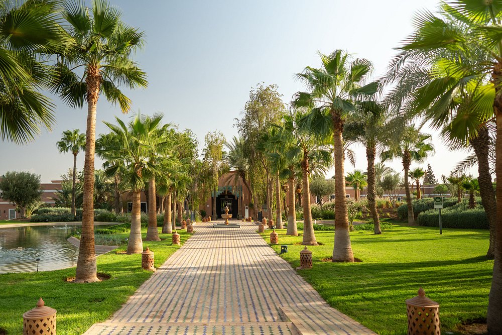 Thiết kế khách sạn Sol Oasis Marrakech - Toàn cảnh