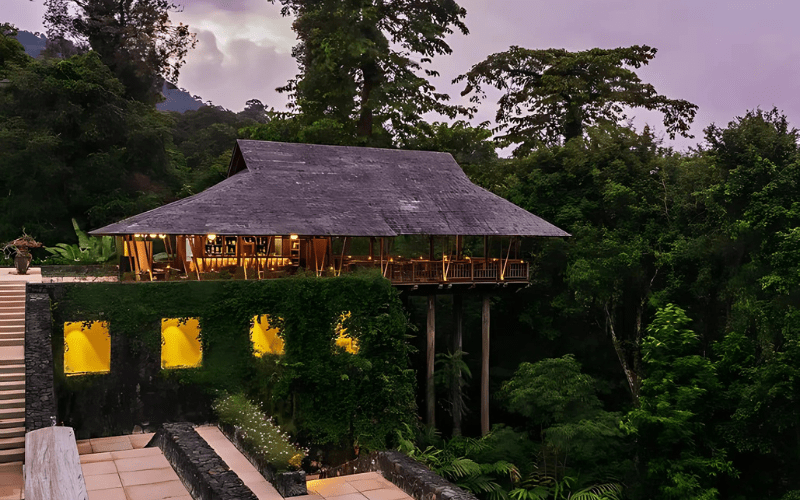 Ngắm nhìn vẻ đẹp hoang sơ của khách sạn The Datai (Langkawi, Malaysia) tạo cảm giác thư giãn cho du khách khi nghĩ dưỡng tại đây