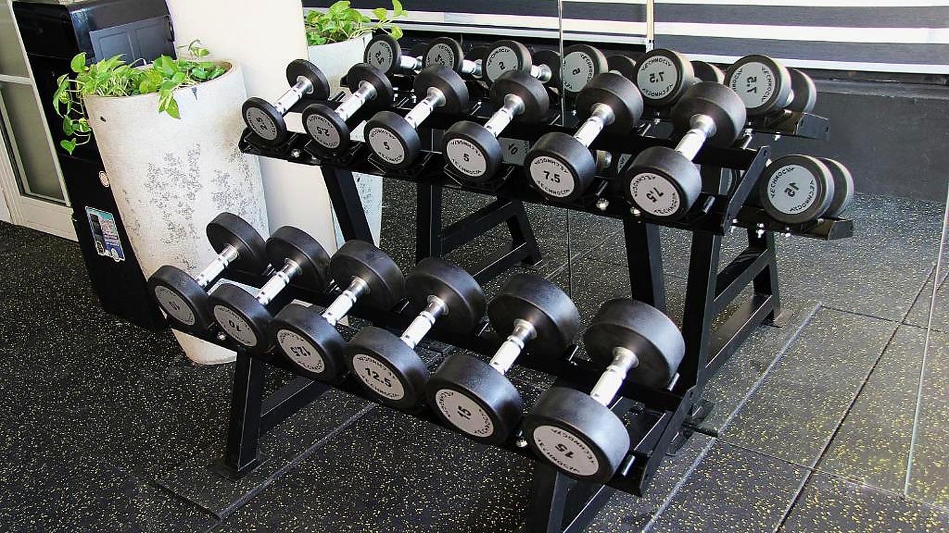 Khu tạ tay trong phòng gym khách sạn 4 sao.