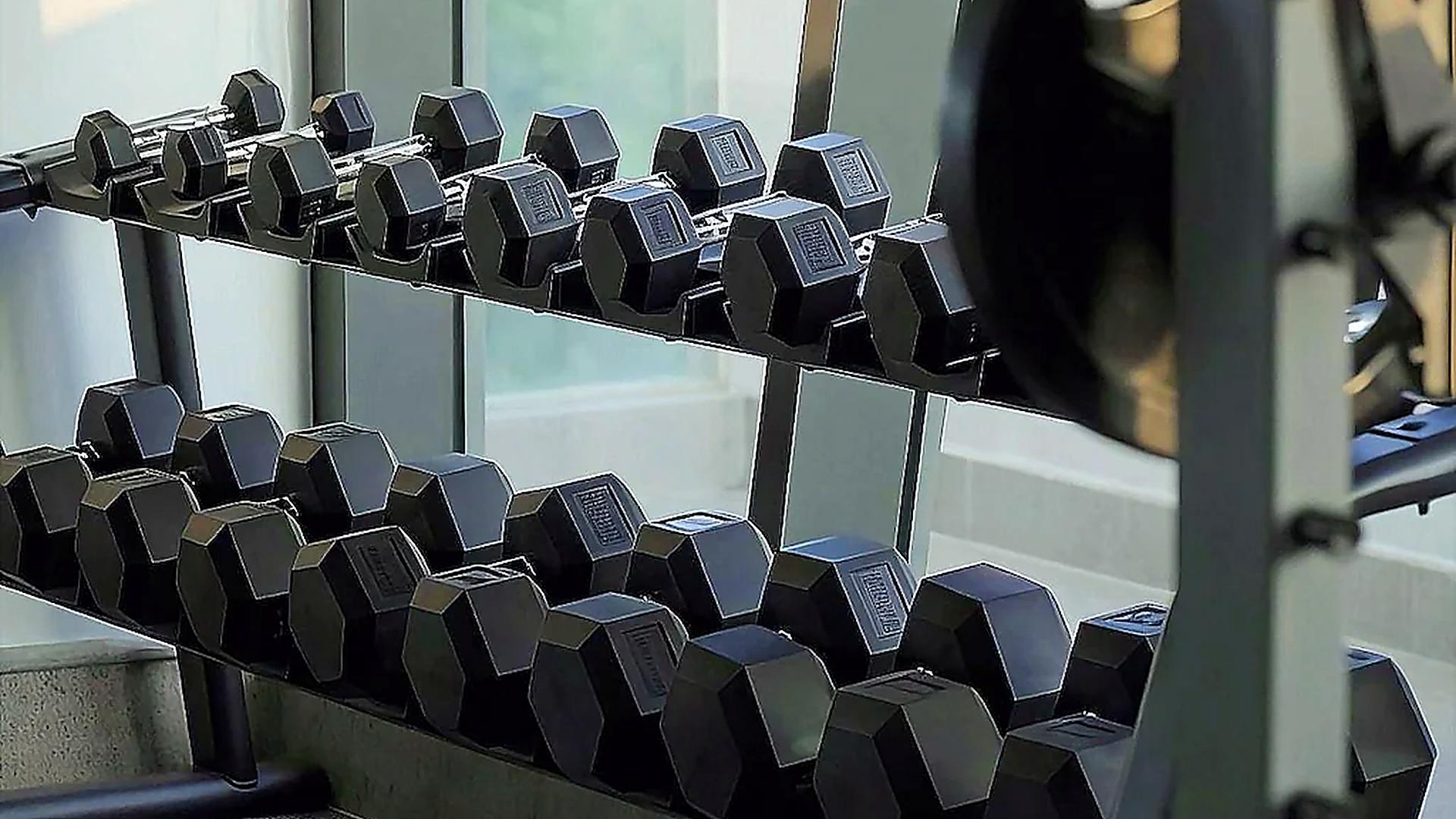 Phòng gym với hệ tạ tay và không gian tập luyện gần cửa kính lớn.