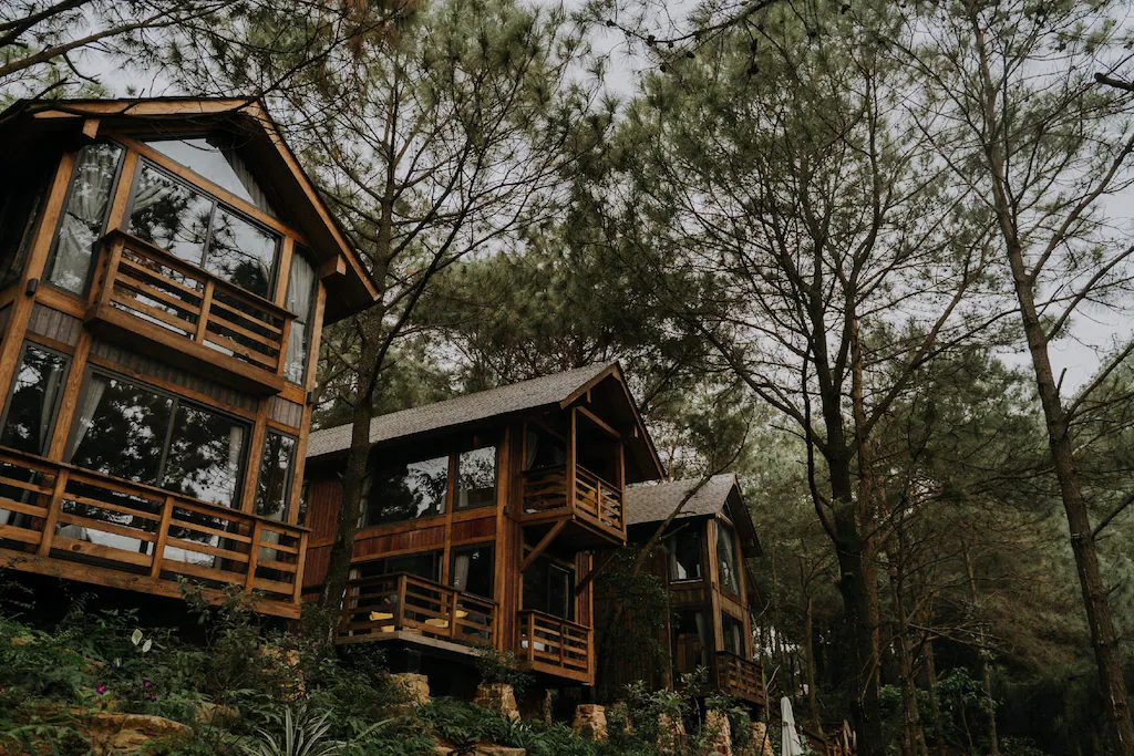 Resort 3 sao phong cách Forest Cabin: nghỉ giữa rừng xanh