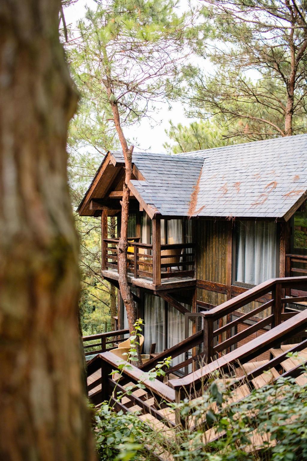 Khối cabin cao, gọn, dùng gỗ tối màu và ban công nhỏ để giảm tác động lên cảnh quan.
