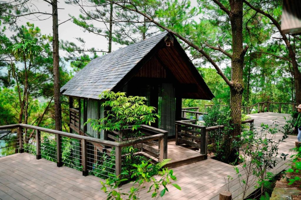 Sàn gỗ nâng tạo tuyến di chuyển khô ráo giữa các căn nghỉ nhỏ trong rừng.