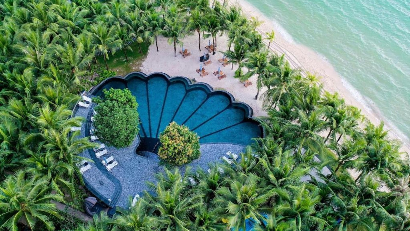 Hồ bơi hình vỏ sò nằm giữa vườn dừa, kết nối trực tiếp với bãi biển.